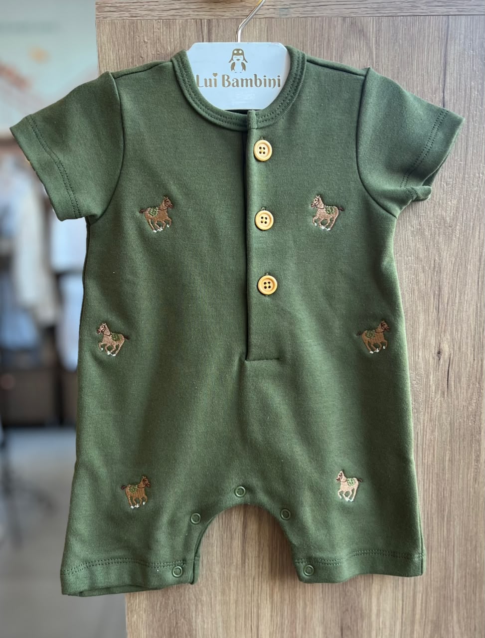 lbcor:VERDE MUSGO:01a01ee5-44ae-7142-b5a6-01cc7226aa37.jpg