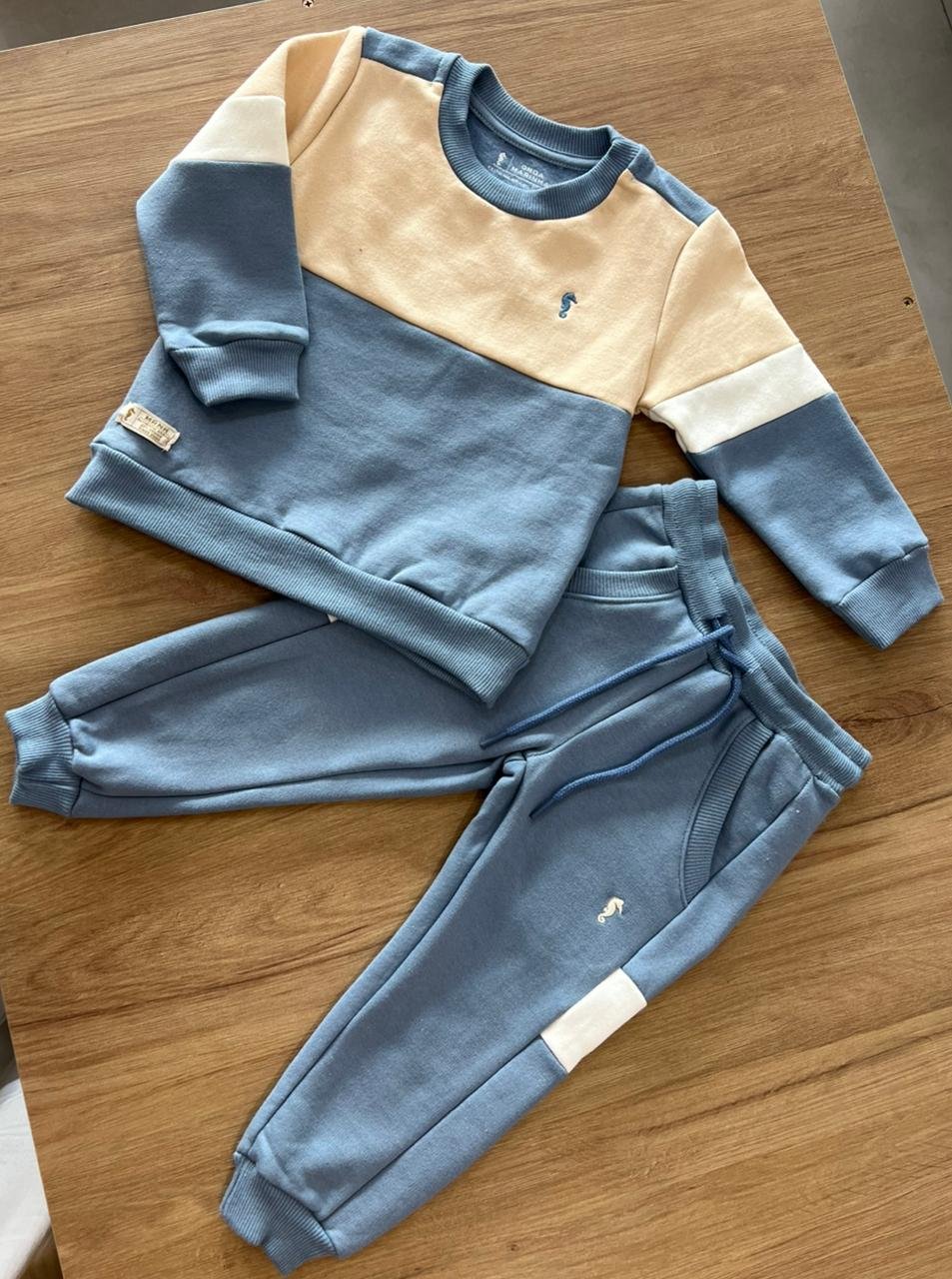 CONJUNTO BLUSÃO MANGA LONGA MOLETOM FELPADO BORDADO MINIMALISTA CAVALO MARINHO E CALÇA MENINO ONDA MARINHA - AZUL