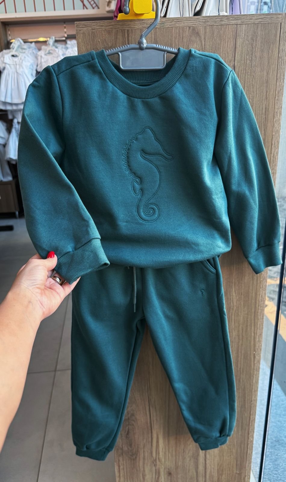 CONJUNTO BLUSÃO MANGA LONGA CAVALO MARINHO RELEVO MOLETOM E CALÇA MENINO ONDA MARINHA - VERDE