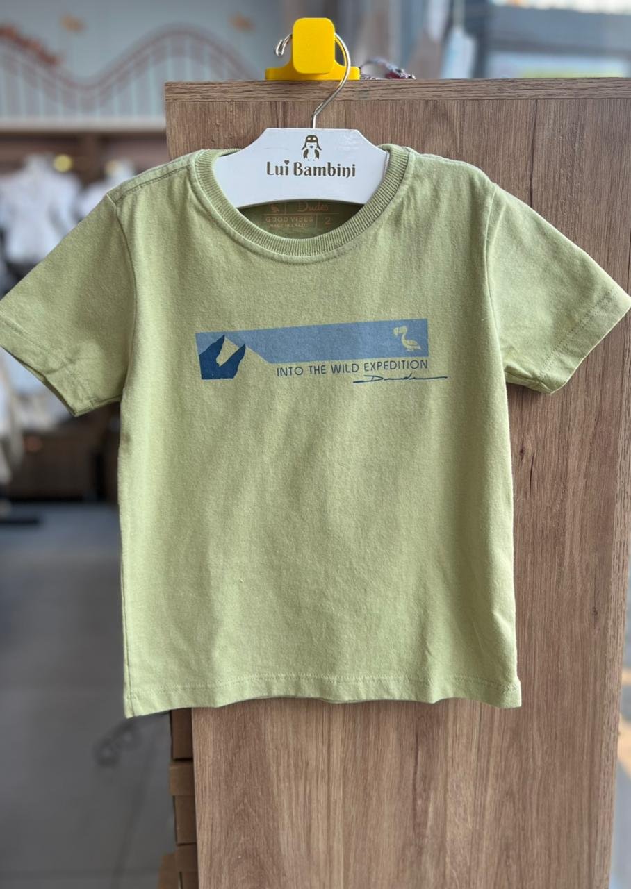 CAMISETA MANGA CURTA INTO THE WILD EXPEDITION MENINO DUDES - VERDE