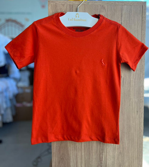 CAMISETA MANGA CURTA BORDADO PICA PAU BÁSICA LISA MENINO RESERVA MINI - LARANJA