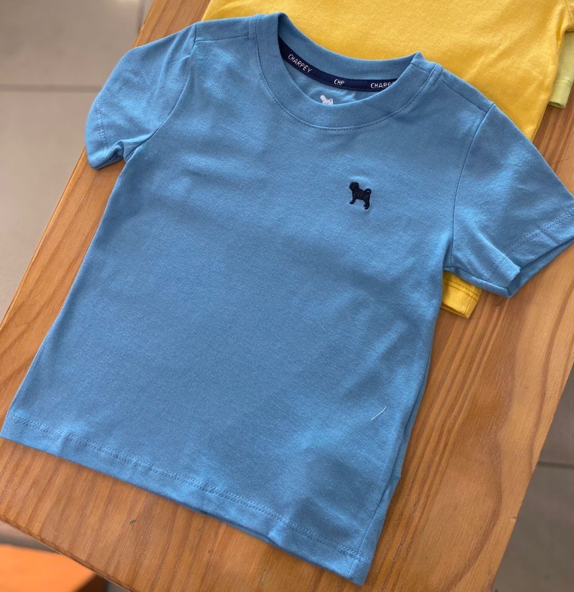 CAMISETA MANGA CURTA EM MEIA MALHA COM BORDADO E GOLA REDONDA MENINO CHARPEY
