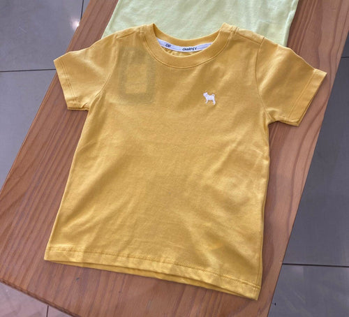 CAMISETA MANGA CURTA EM MEIA MALHA COM BORDADO E GOLA REDONDA MENINO CHARPEY