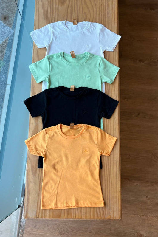 CAMISETA MANGA CURTA MEIA MALHA COM BORDADO MENINO UP BABY