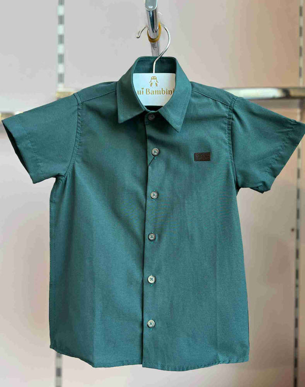 VERDE ESCURO