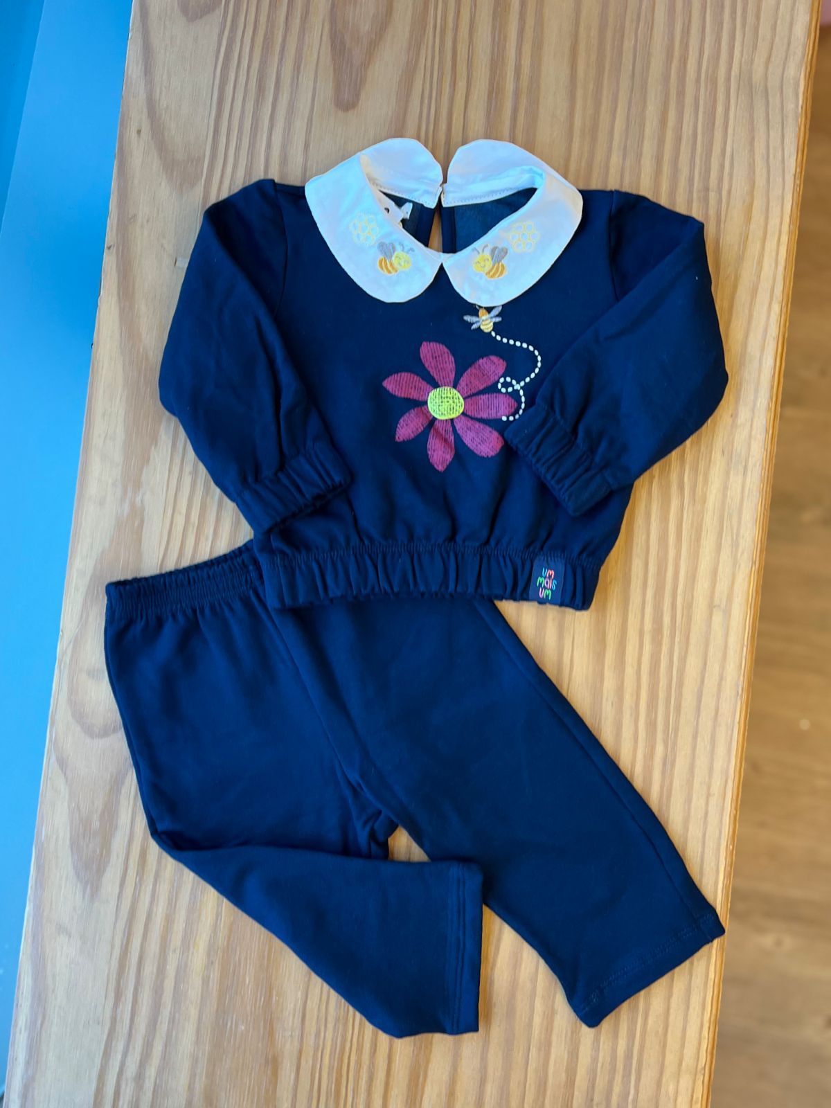 CONJUNTO CASACO MANGA LONGA GOLA BORDADA ABELHAS E FLORES COM CALÇA MOLETINHO MENINA 1+1