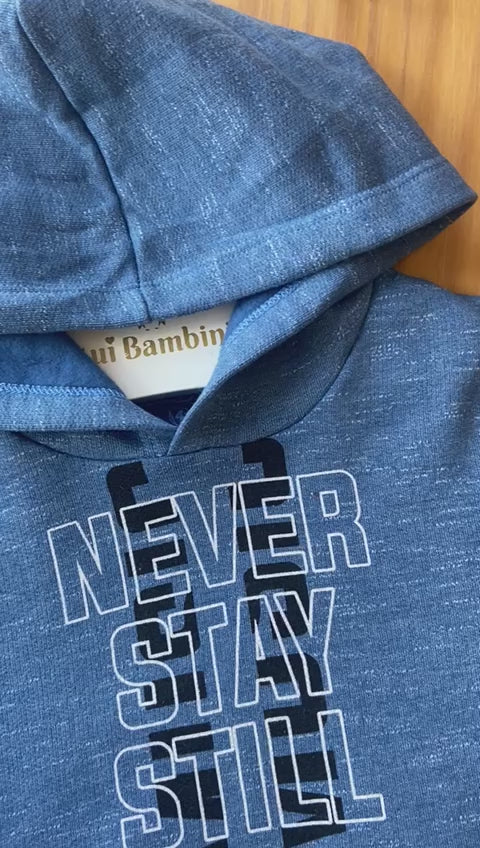 CONJUNTO MOLETOM MANGA LONGA CAPUZ E CALÇA NEVER STAY STILL MENINO BICHO BAGUNÇA