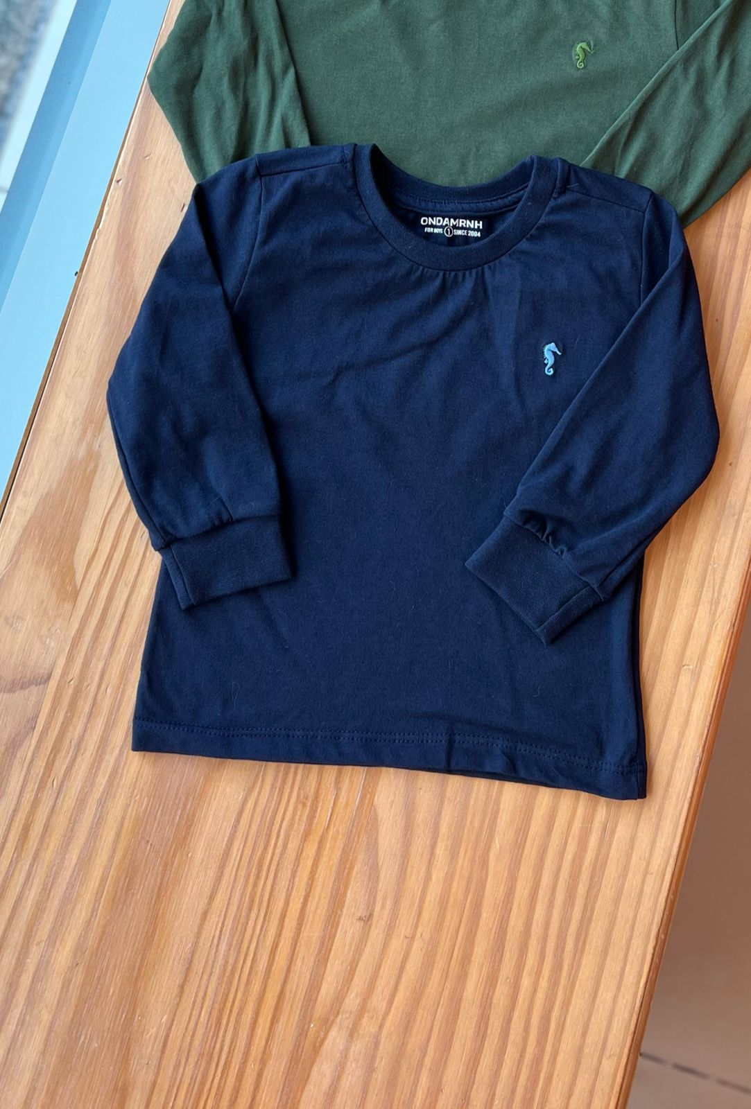 CAMISETA MANGA LONGA LISA COM GOLA REDONDA E CAVALO MARINHO BORDADO MENINO ONDA MARINHA