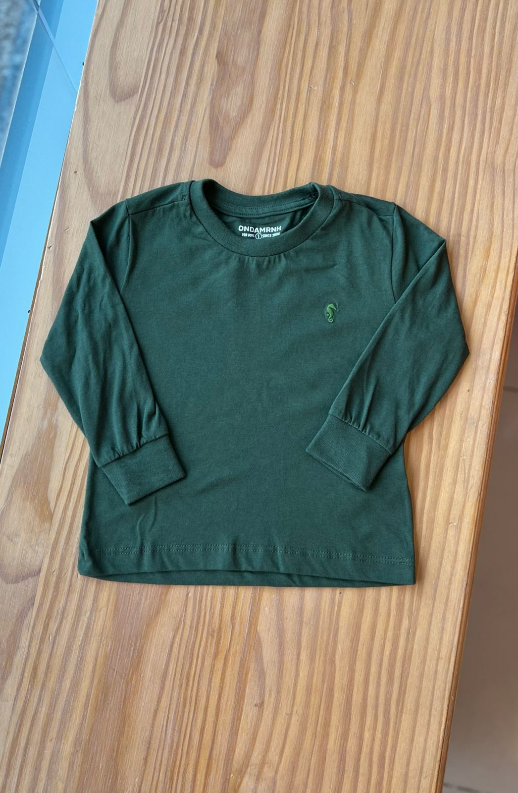 CAMISETA MANGA LONGA LISA COM GOLA REDONDA E CAVALO MARINHO BORDADO MENINO ONDA MARINHA